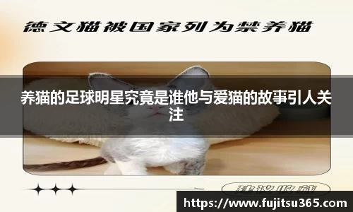 养猫的足球明星究竟是谁他与爱猫的故事引人关注